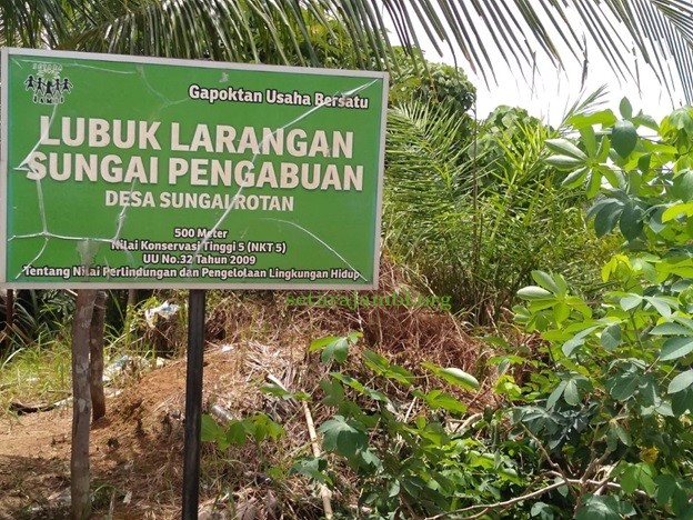 Cerita Forum Petani Swadaya Merlung Renah Mendaluh Menyelamatkan Sungai Pengabuan