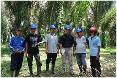 KUD Teratai Biru Berhasil Lewati Pre-Audit RSPO Dengan Menggunakan P&C 2016