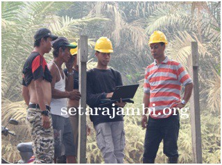 Menakar Kesiapan Petani Menuju Sertifikasi RSPO