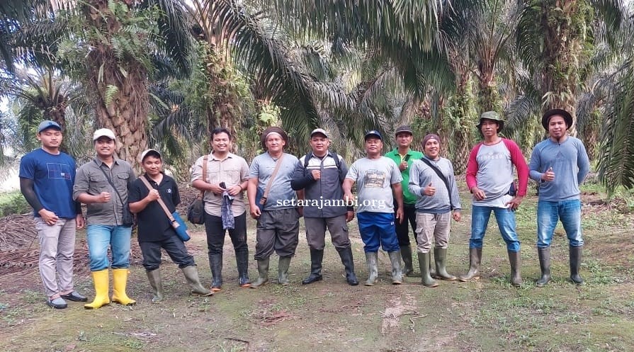 Rangkaian Program GYGA: Tim PPKS Ambil Sampel Hasil Panen Pada Kebun Demplot Petani