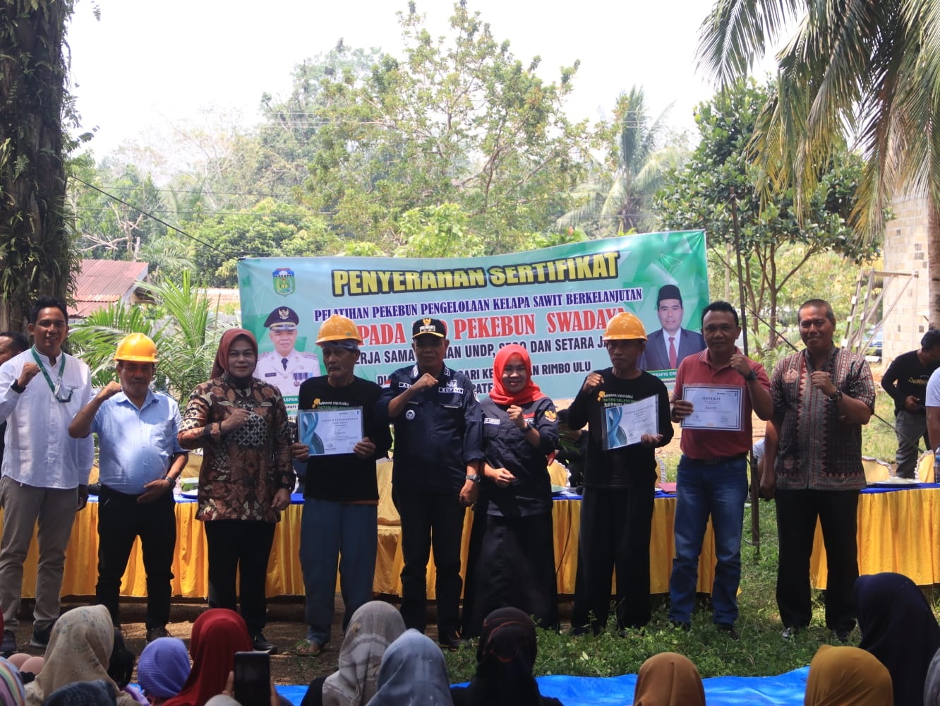 Sawit Berkelanjutan, Petani Swadaya Menata Masa Depan