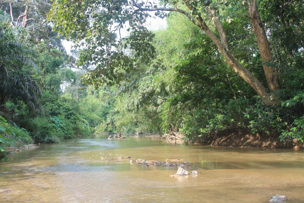 Lubuk Larangan Tanjung Gelanggang, Upaya Ketahanan Pangan Dan Pelestarian Ekosistem Sungai