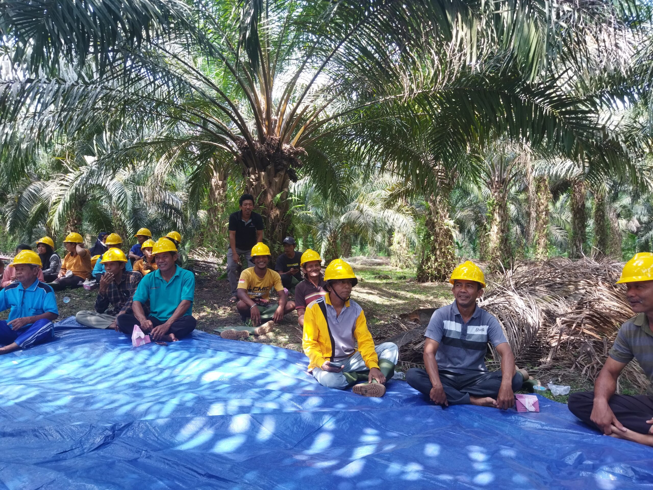 Jalani Pola Kemitraan, KATL Dapatkan Keuntungan Berlipat